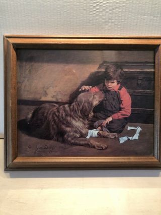 Signed Vintage Jim Daly Picture Boy & Dog With Bandage 1980 Wooden Frame