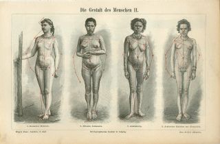 1895 Nude Women Body Types German Miranha Indian Australian Arab Engraving Print