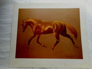 1970 C.  W.  Anderson Horse Lithograph Print Harper " Thoroughbred Rhythm "
