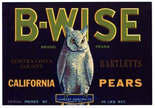 B - Wise Brand,  Contra Costa County,  Owl An Pear Crate Label 470