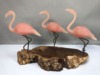 Vintage 9” Long John Perry 3 Pink Flamingo Sculpture Wood Burl Slice Florida
