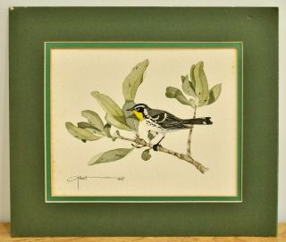 George Edward Gilbert,  " Yellow Throated Warbler " Watercolor 1978 Signed