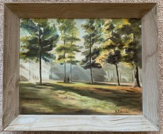 Vintage Landscape Forrest Trees Oil Painting Modern Art Framed Signed Schroeder