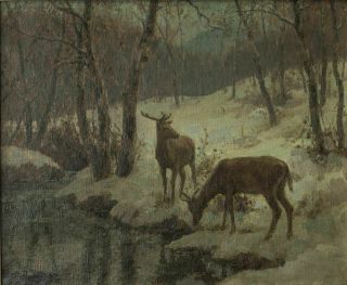 Carl Rungius 1869 - 1959 Oil Painting Of Deer