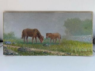 Oil Painting " Two Horses " By James Gale Tyler (1855 - 1931) Measures 6 - 7/8 " X 14 "