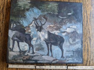 Carl Rungius (1869 - 1959),  Attributed,  Elk Study
