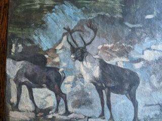 Carl Rungius (1869 - 1959),  Attributed,  Elk Study 2