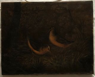 American Woodcocks Birds Nature Hunting Oil Painting Canvas Late 1800s