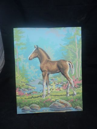 Vintage Paint By Number (pbn),  Horse Colt In The Meadow Woods/mountains