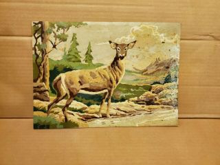 Vintage Craft Master Paint By Number Pbn Deer Oil Paiting