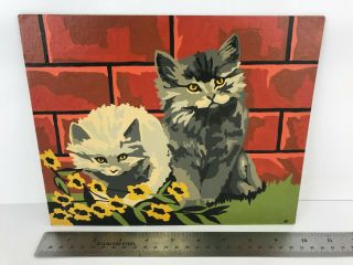 Vintage Paint By Numbers 8 X 10 Kittens Fluffy Cats In The Garden Gray & White