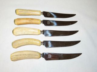 Vintage Birks Stag Antler Set Of 5 Stainless Steak Knives Sheffield England