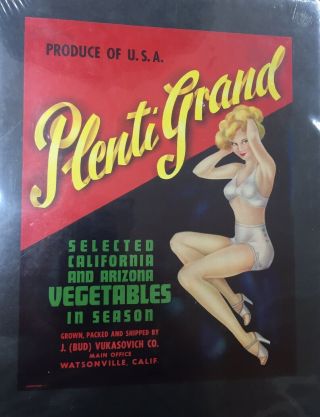 Vintage 1940s Plenti Grand Pin - Up Girl Produce Crate Label Art Print 7x9” Size