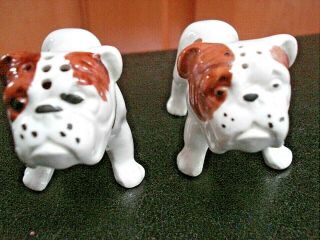Vintage 1940 Japan English Bulldog White Brown Spots Dog Salt & Pepper Shakers