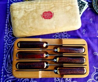 Vintage Red Stag Horn Lewis Rose Co.  Sheffield Steak Knives Wooden Box