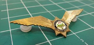 South African Police Sap Elite Special Task Force Helicopter Pilot Wings Badge