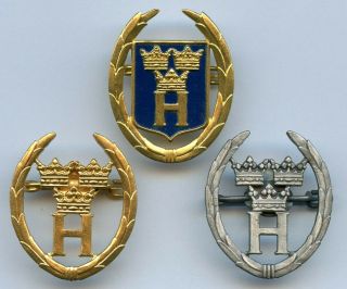 Sweden Swedish Home Guards 3 Badge Grade