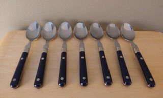 7 Washington Forge Wf Mardi Gras Navy Blue Stainless Steel Place Soup Spoons