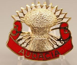 4th Air Defense Artillery Regiment Distinctive Unit Insignia Crest Dui Ns Meyer