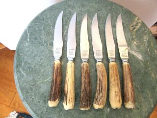 Set Of 6 Vintage Salm Sheffield England Stag Horn Steak Knives Stainless Blade