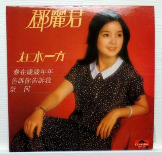鄧麗君 ‎– 在水一方 / Teresa Teng ‎– On The Water Side - Vinyl Record - 2427 329