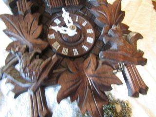 Cuckoo Clock Black Forest Musical Bird and 2 Squirrels Movement Regal 859 W - Ger 3