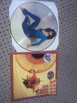 Kate Bush - The Kick Inside - Rare 1st Press Uk Picture Disc Lp - Emcp 3223