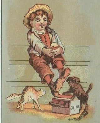 Ao - 094 Mi,  Detroit,  Wb Busch Millinery Fancy Goods Victorian Trade Card Boy Cat