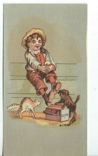 AO - 094 MI,  Detroit,  WB Busch Millinery Fancy Goods Victorian Trade Card Boy Cat 2