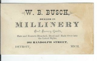 AO - 094 MI,  Detroit,  WB Busch Millinery Fancy Goods Victorian Trade Card Boy Cat 3
