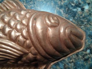 Antique European copper fish mold (cake Jello aspic) tin interior unusual 2