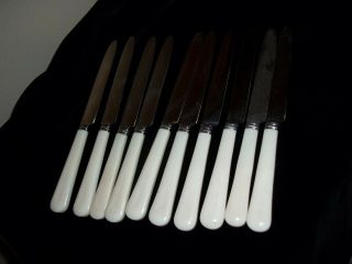 Set of 10 Antique Butter Knives F.  Faye Inox Stainless Ivory Bakelite Handles 2