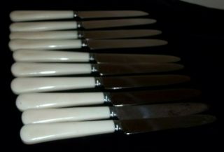 Set of 10 Antique Butter Knives F.  Faye Inox Stainless Ivory Bakelite Handles 3