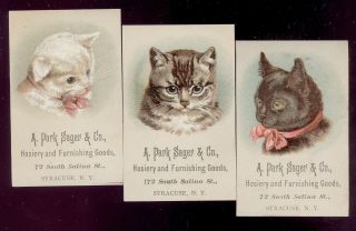 3 Syracuse Ny Trade Cards,  A Park Sager & Co,  72 S.  Salina St.  Sweet Cats X820