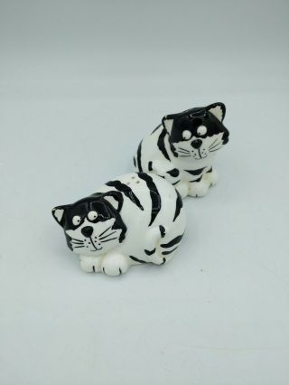 Cat Salt And Pepper Shakers Black And White Striped Cats Crazy Cat Lady