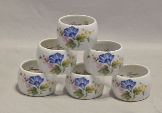 Limoges France Piotet Set Of 6 Floral Porcelain Napkin Rings