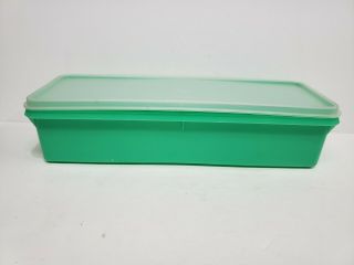 Tupperware Green 892 - 3 Celery Veggie Crisper Keeper Storage 12 " X 3.  5 " Lid 893 - 4