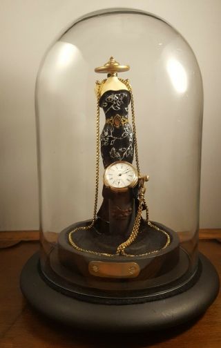 Antique Lady Waltham Pocket Watch 10k Gf Case & Chain With Large Display Stand