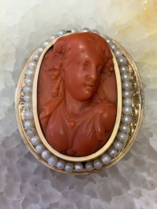 Antique Victorian Carved Red Coral Cameo High Relief 14k Gold Mount Seed Pearls