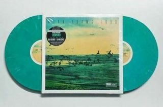 Ryan Adams 1989 Seafoam Green Vinyl 2x Lp Record Rare B&n Colored Taylor Swift