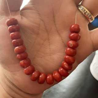 Rare Tibetan Natural Undyed Aka Blood Red Oxblood Coral Bead Jewelry Necklace