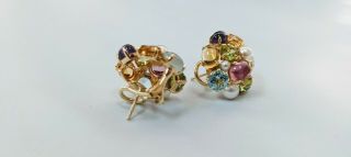 18k Gold Seaman Schepps Bubble Multi - Color Gemstone Earrings