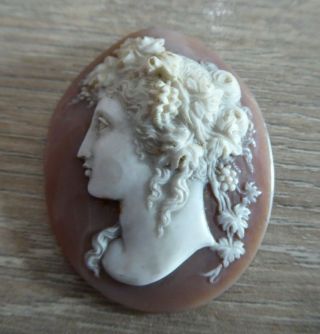 Rare Quality Antique Carved Cameo Shell For A Brooch