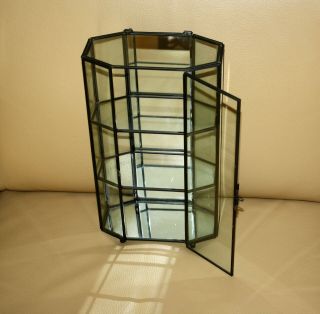 GLASS AND METAL TRIMMED CURIO CABINET WITH MIRRORED BACK 2