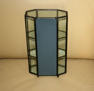 GLASS AND METAL TRIMMED CURIO CABINET WITH MIRRORED BACK 3