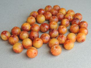 Old Chinese Butterscotch Amber Round Beads For Necklace