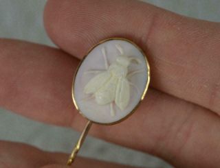 Victorian Bee Cameo And Solid Gold Stick Tie Pin