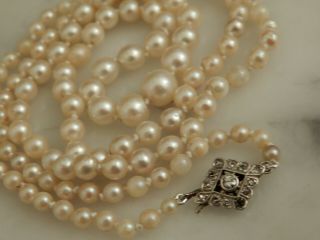 An Exceptional 18 Ct White Gold And Diamond Cultured Pearl Opera Length Necklace