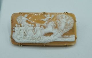 Phoebus Apollo Carved Shell Cameo Horse Drawn Chariot Greek Roman God Of The Sun