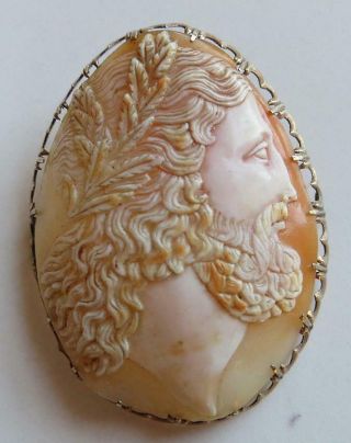 Large Victorian Shell Cameo Of Bearded Greek God 1 7/8 X 1 3/8 Inches